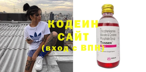 амф Алексин