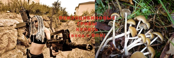 ALPHA PVP Абинск