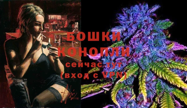 мяу мяу мука Абаза