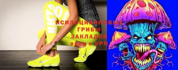 мяу мяу мука Абаза