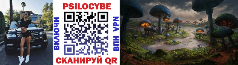 Псилоцибиновые грибы Magic Shrooms  Северодвинск 